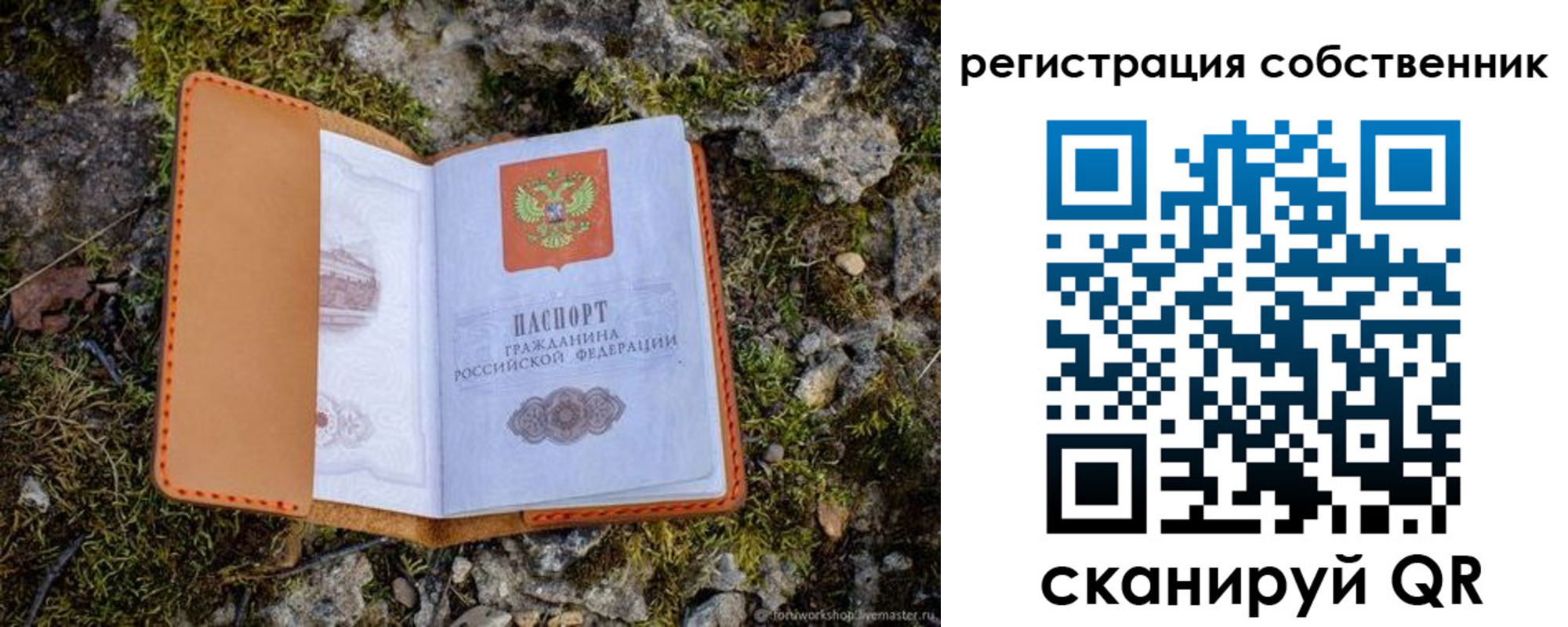 прописка поиск в Ряжске